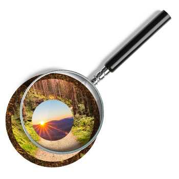 Search Audit Reports